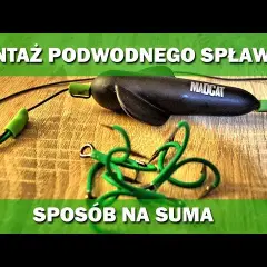 Skuteczne metody na suma z gruntu: sprzęt, przynęty i miejsca