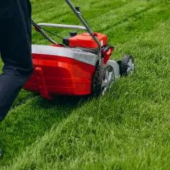 Jak zrobić pasy na trawniku i uniknąć najczęstszych błędów