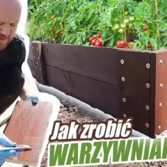 Jak zrobić donice na warzywa - proste sposoby na udaną uprawę