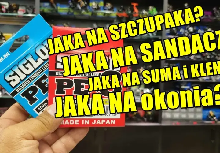Jaka plecionka na suma z gruntu? Wybierz najlepszą i uniknij strat