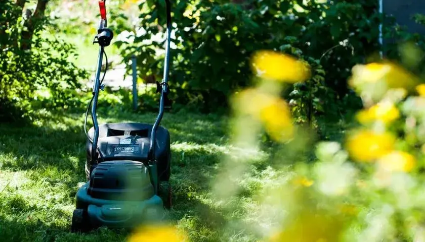 Jakie paliwo do kosiarki z olejem czy bez? Kluczowe różnice w silnikach