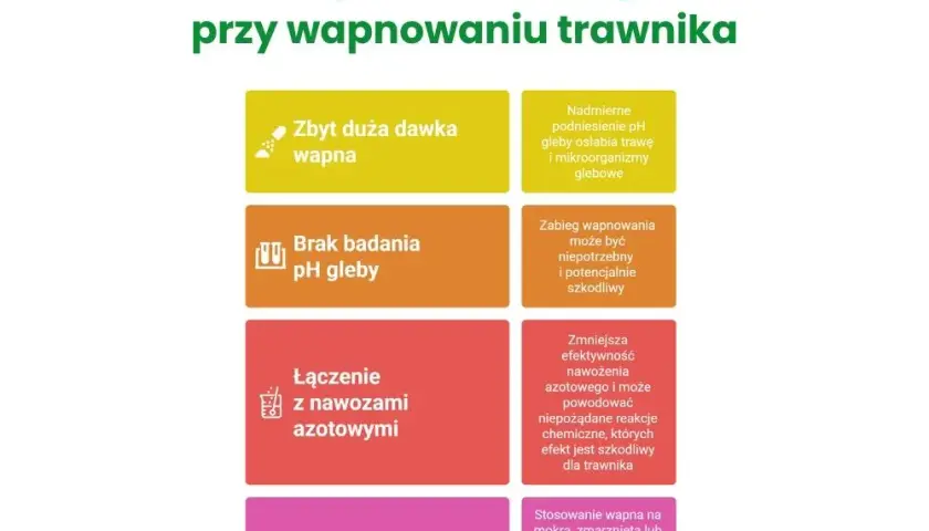 Jakie pH pod trawnik? Odkryj, jak uniknąć problemów z trawą