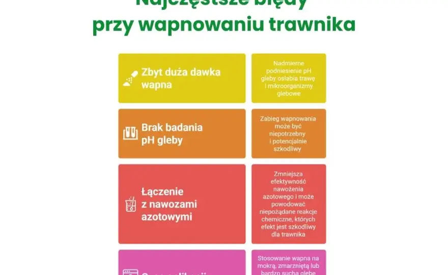 Jakie pH pod trawnik? Odkryj, jak uniknąć problemów z trawą