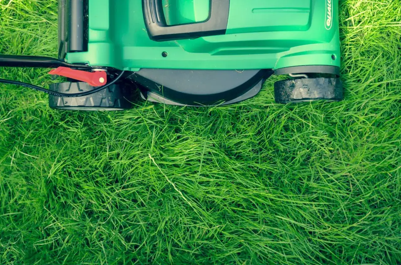 Zdjęcie Jaka kosiarka akumulatorowa - opinie użytkowników i porady forum